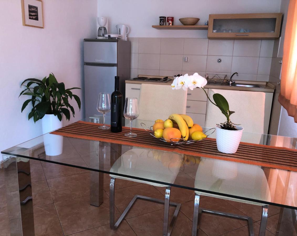 Apartments Roberta Novigrad Istria Εξωτερικό φωτογραφία