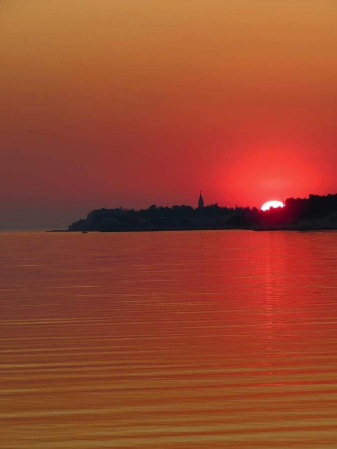 Apartments Roberta Novigrad Istria Εξωτερικό φωτογραφία