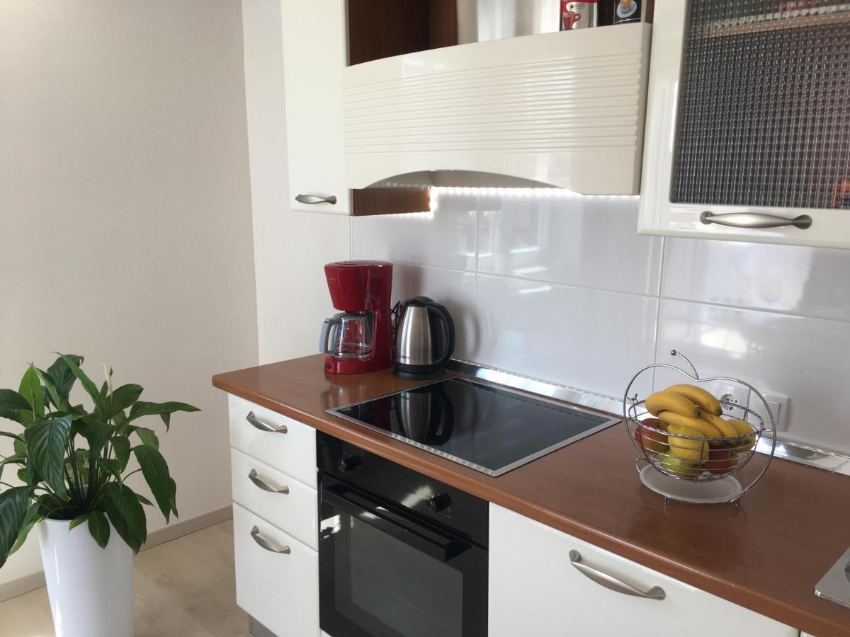 Apartments Roberta Novigrad Istria Εξωτερικό φωτογραφία