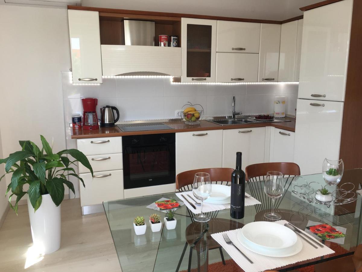 Apartments Roberta Novigrad Istria Εξωτερικό φωτογραφία