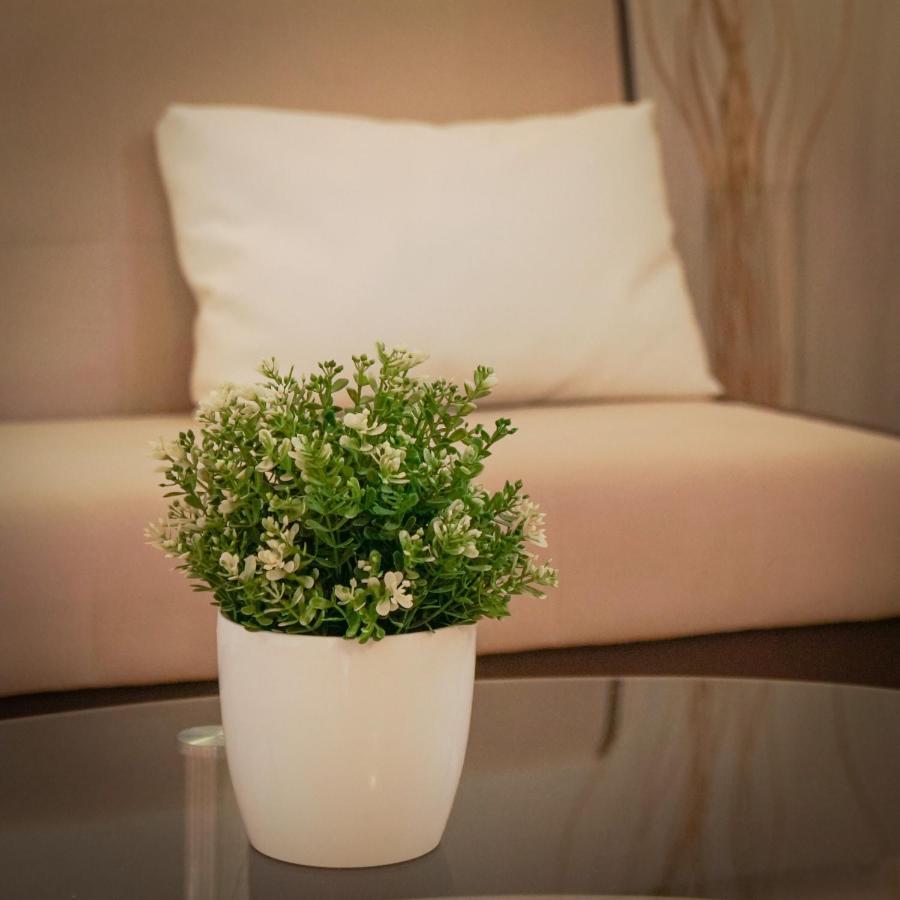 Apartments Roberta Novigrad Istria Εξωτερικό φωτογραφία