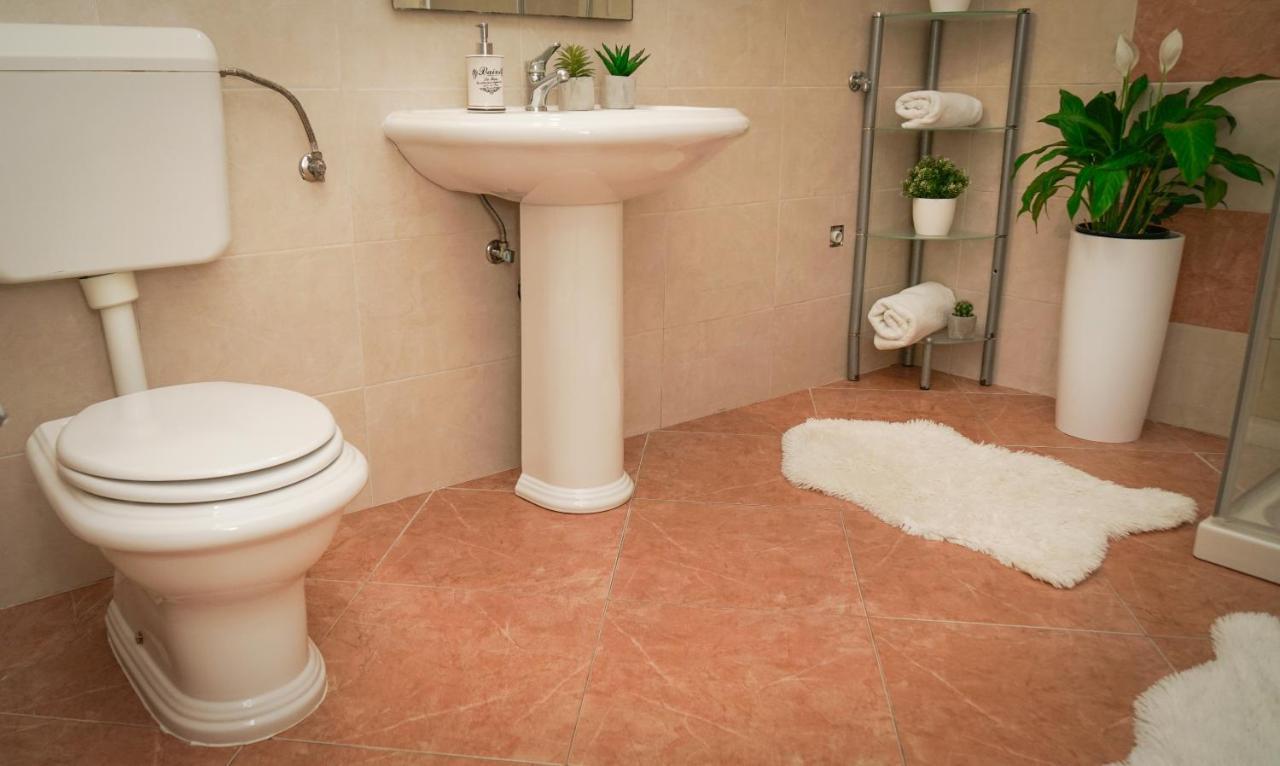 Apartments Roberta Novigrad Istria Εξωτερικό φωτογραφία