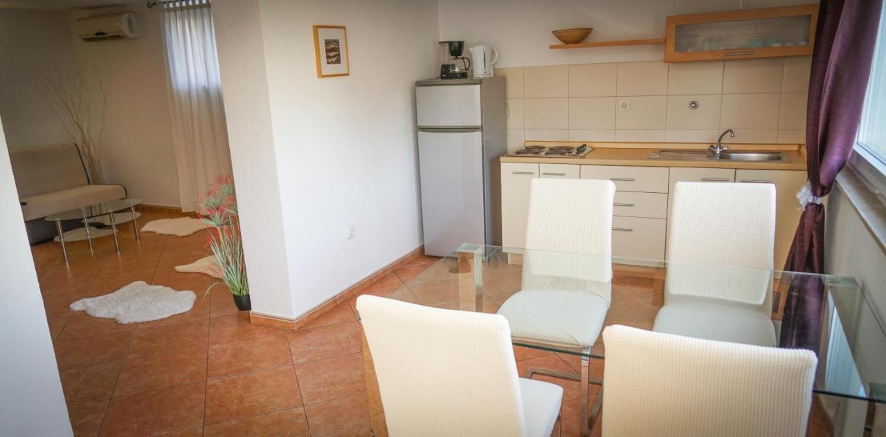 Apartments Roberta Novigrad Istria Εξωτερικό φωτογραφία
