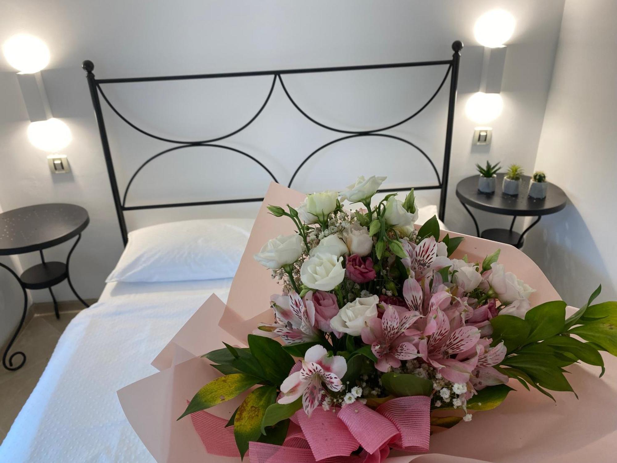 Apartments Roberta Novigrad Istria Εξωτερικό φωτογραφία