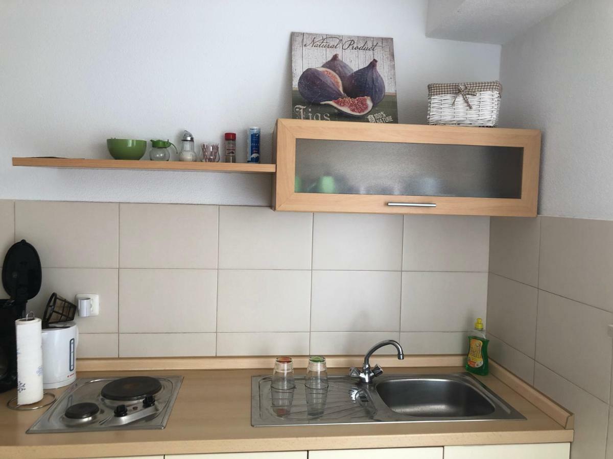Apartments Roberta Novigrad Istria Εξωτερικό φωτογραφία