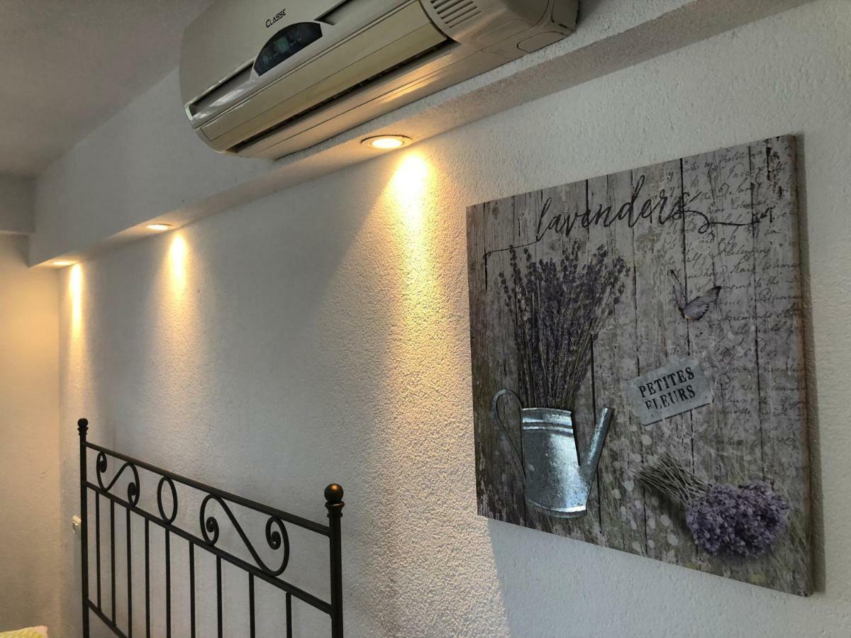 Apartments Roberta Novigrad Istria Εξωτερικό φωτογραφία