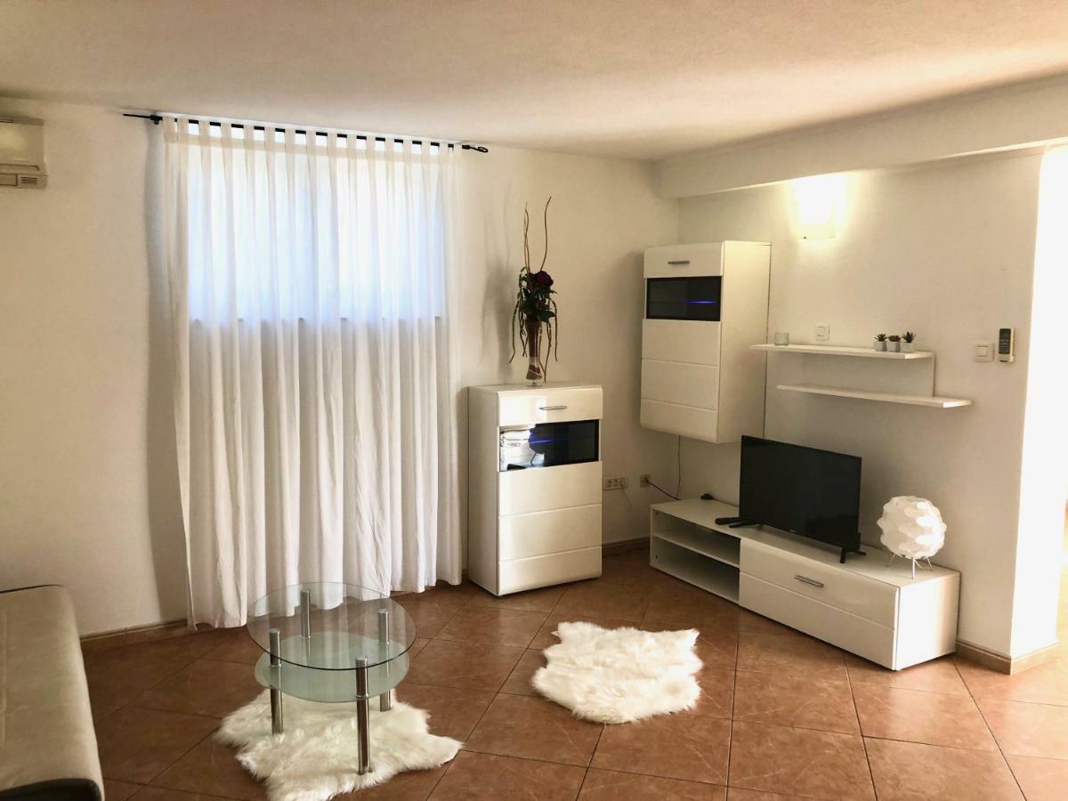 Apartments Roberta Novigrad Istria Εξωτερικό φωτογραφία